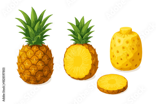 Set of tropical pineapple fruit elements showing whole, half cut, peeled, and sliced forms