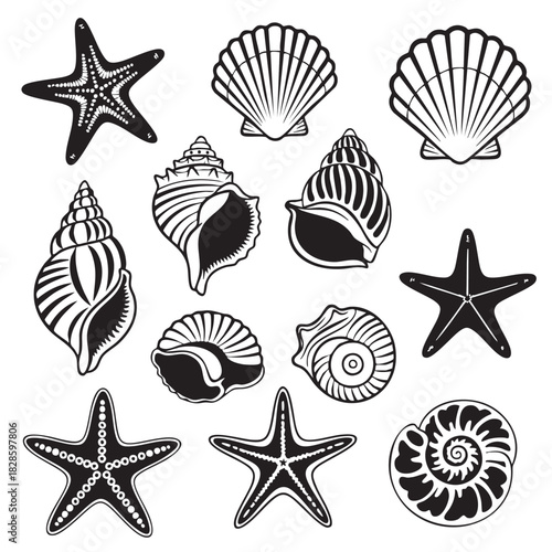 Black and white vector illustration of sea shells and starfish pattern