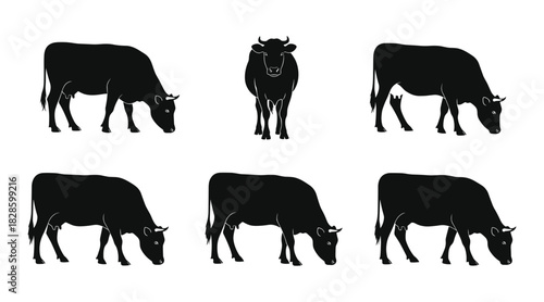 Six black cow silhouettes grazing and standing on a white background cattle livestock