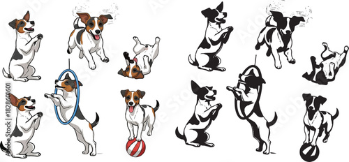 Dog trick illustration, pet activity sequence, cartoon canine poses, training motion graphics, silhouette and color comparison, playful puppy vector design