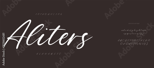 Elegant alphabet letters font logo. Typography luxury classic lettering serif italic fonts decorative wedding vintage retro logos. vector illustration