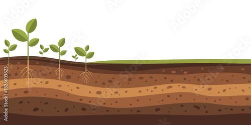 Plant sprouts with roots in layered soil, educational diagram