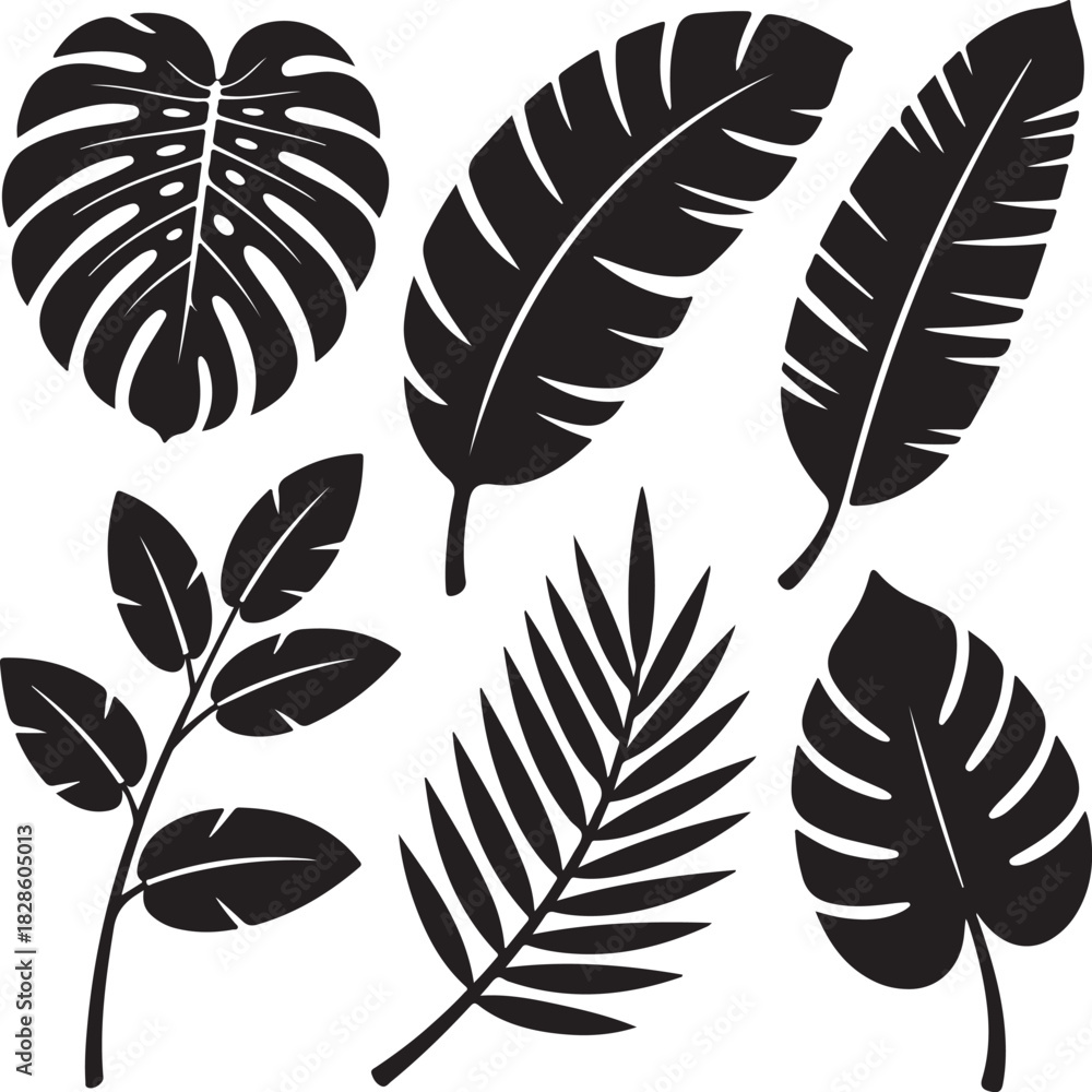 Obraz premium Tropical leaves silhouettes for decoration use