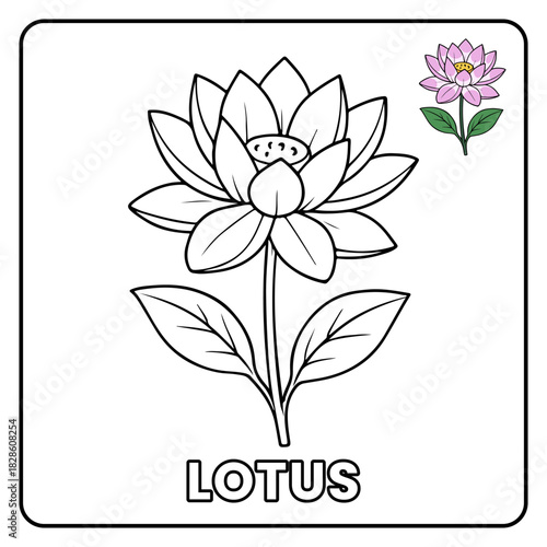 Lotus Flower Garden Children coloring page