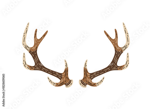 A refined hand‑drawn illustration of elk or moose antlers set against a white backdrop, rendered in monochrome realistic vector style reminiscent of vintage engravings, suitable as a decorative