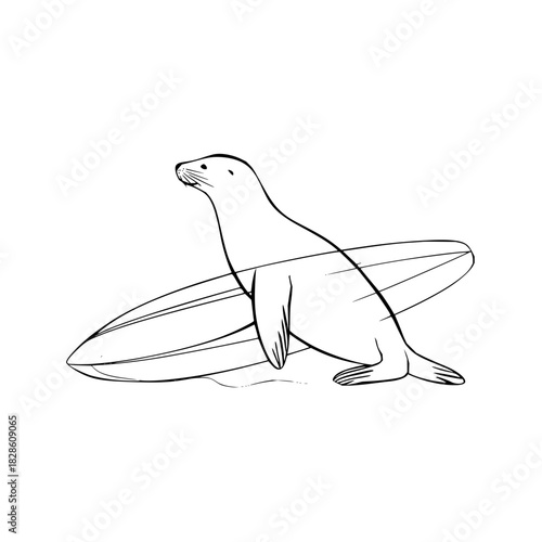 Line drawing of a seal balancing on a surfboard with a simple outline against a white background art