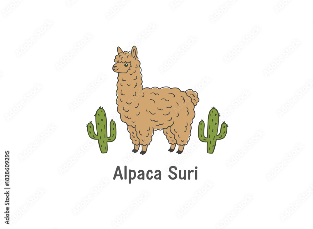 Obraz premium Hand-drawn doodle illustration of an alpaca suri
