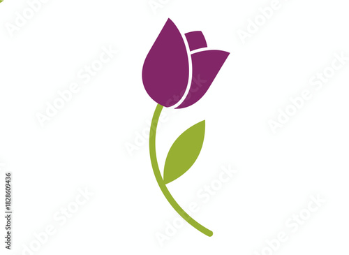A stunning violet tulip in full bloom, depicted as a sleek spring flower with stem and leaf set against a white background in a vibrant flat vector style