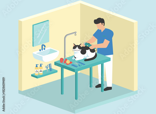 Using a shedding tool, a professional groomer brushes a fluffy cat’s hair in a pet salon, combing and removing the undercoat, depicted as a flat vector illustration on a white background