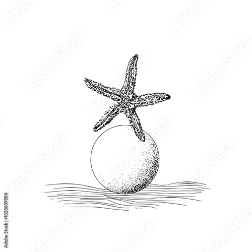 Starfish perched atop a dotted sphere with horizontal lines below in a monochrome illustration