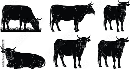 Cow silhouette set featuring grazing cattle, standing bull, lying down farm animal, livestock vector illustration collection, black and white agriculture design