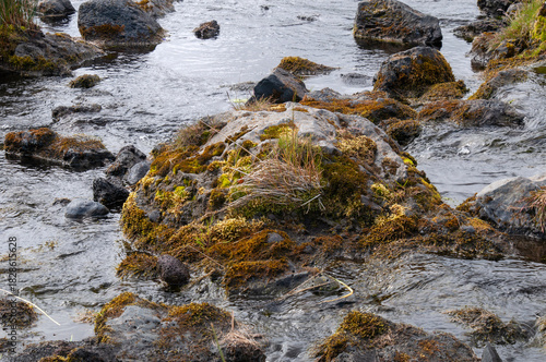 South Iceland, rocks covered with moss in creek
