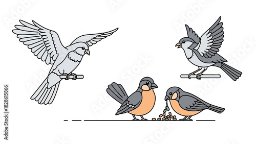 Vector illustration of various small birds in different poses, including flying, perching, and feeding, suitable for wildlife and nature designs