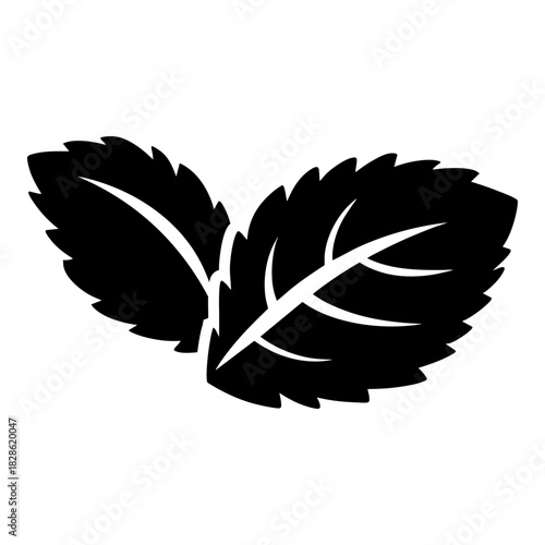 Mint leaf icon, symbolizing organic products, freshness, flavor, herbal, natural ingredients, and eco-friendly themes. Perfect for food, skincare, aromatherapy, labels, and organic branding.