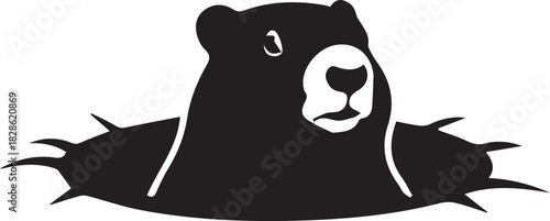 Black bear emerging from a hole with claws extended