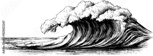 Engraved illustration of a flattened ripple crest - decorative nautical design for art and prints