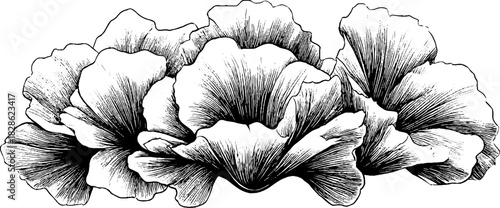 Engraved fractal mineral bloom decorative design for artistic projects