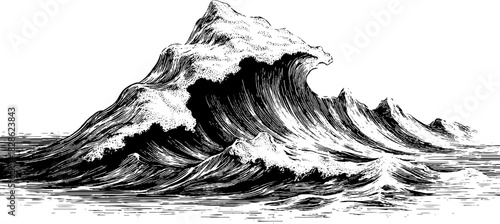 Engraved decorative illustration of a pulsating organic swell for print design