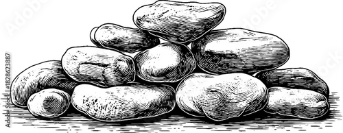 Engraved decorative illustration of repeating pebble pattern for design and decoration