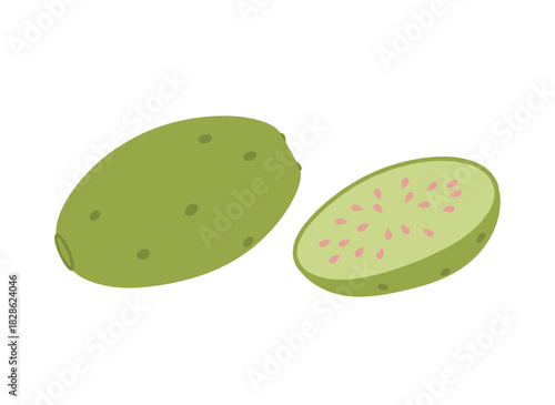 Half‑cut and whole horned melon, known as kiwano, displayed as a flat vector illustration on a white background, showcasing its spiky fruit, ripe flesh, and seeds as an exotic tropical, vitamin‑rich