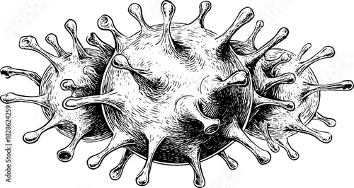 Intricate hand drawn spherical microorganism engraving for decorative design