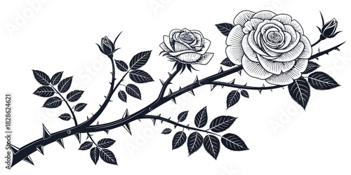 A detailed illustration of a thorny rose branch with blooming flowers and buds art
