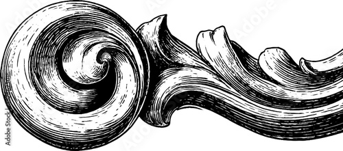 Decorative carved wooden volute ornament engraving for design and print