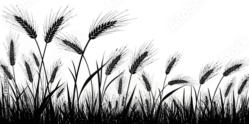 Silhouette illustration of wheat stalks and grass against a white background view
