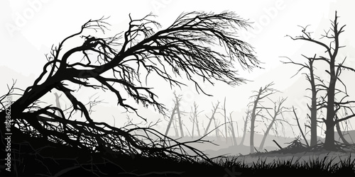 Silhouette of barren trees in a misty landscape with a fallen tree in the foreground