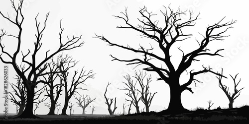 Silhouette of leafless trees against a bright background creating a stark contrast
