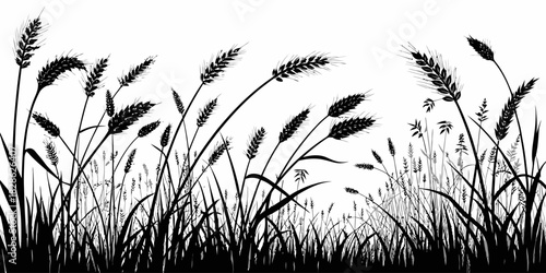 Silhouette illustration of wheat field with detailed stalks and grains design art