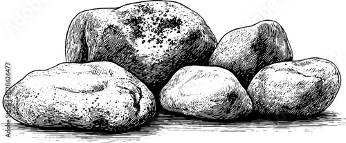 Vintage engraved illustration of rounded quartzite river stones for design and decor