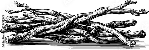 Decorative hand drawn engraving of woven willow lattice for design and art projects