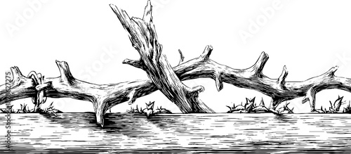 Engraved woven willow lattice design for decorative uses