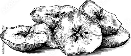 Engraved illustration of wrinkled dehydrated apples for vintage design