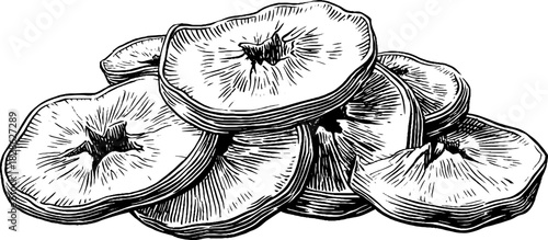 Vintage dehydrated wrinkled apple illustration - decorative hand drawn design for natural product label