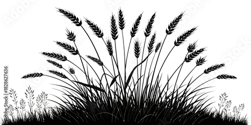Silhouette illustration of wheat stalks and grass blades in a field against white