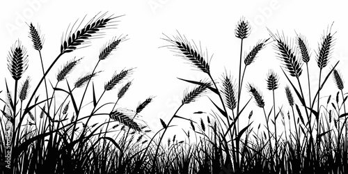Silhouette illustration of wheat field with detailed stalks and flowing grass blades