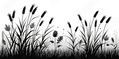 Silhouette of tall grass and reeds with flying birds against a white background scene