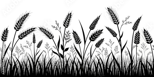 Silhouette illustration of wheat and grass plants on a white background design art