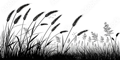 Silhouette illustration of wheat and grass blowing in the wind on a white background