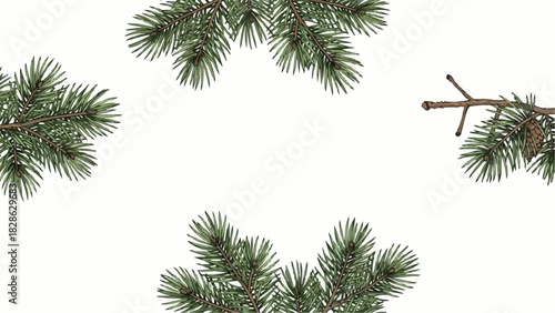 Illustration of pine branches with needles framing a white background with a single pine cone on right