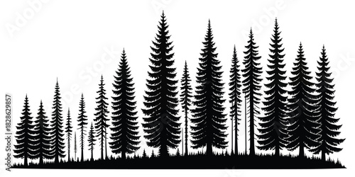 Silhouette illustration of a dense forest with varying sizes of evergreen trees