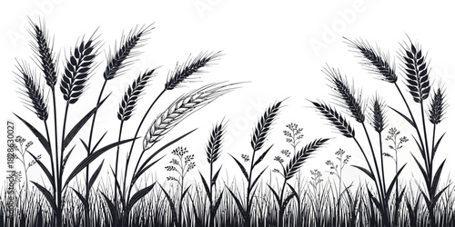 Black and white illustration of wheat stalks and small flowers in a field setting