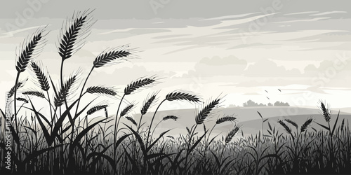Monochromatic landscape featuring wheat field and distant hills under cloudy sky