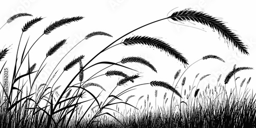 A monochrome illustration of tall grass and wheat blowing in the wind on white background
