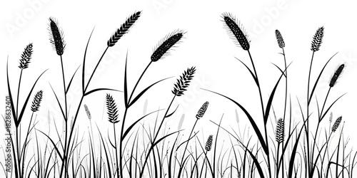 Silhouette illustration of a field with various types of grass and wheat plants waving
