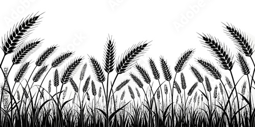 A monochrome illustration of a field of wheat with detailed stalks and grains design