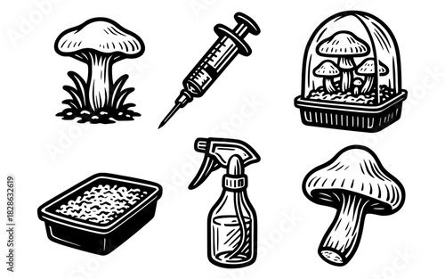 Mushroom cultivation essentials: hand drawn tools and ingredients for home growing
