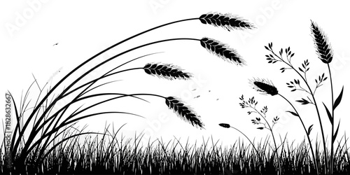 Silhouette of wheat and grass blowing in the wind against a white background scene